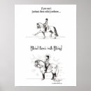 Suche nach dressage kunst Pony