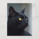 Suche nach denkt postkarten Katze