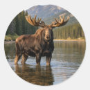 Suche nach elch aufkleber Wasser