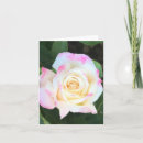 Suche nach rosa gelbe rosen karten Mutter