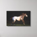 Suche nach appaloosa leinwandbilder Reitpferd