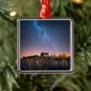 Suche nach neuseeland weihnachten ornamente Blume