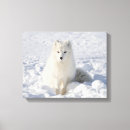 Suche nach fuchs leinwandbilder Modern