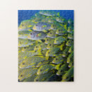 Suche nach indonesien puzzle Ozean