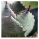 Suche nach agave fliesen Saftig