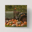 Suche nach gemüse buttons Ernte