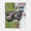 Suche nach chinesischer decken Hund