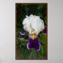 Suche nach epische poster Natur