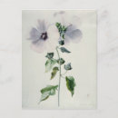 Suche nach 18 jahrhundert postkarten Blume