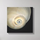 Suche nach wirbellose poster Nah up ansicht