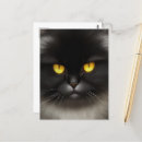 Suche nach persian cat postkarten Lustig