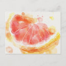 Suche nach grapefruit postkarten Aquarell