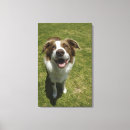 Suche nach ansicht leinwandbilder Braun