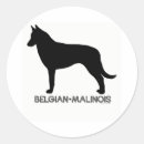 Suche nach belgier aufkleber Haustiere