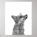 Suche nach fuchs poster Modern