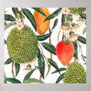 Suche nach mango poster Botanisch