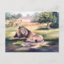 Suche nach lions poster postkarten Große katze