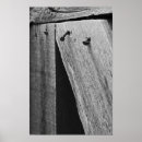 Suche nach gurt poster Modern
