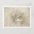 Suche nach venen poster Blatt