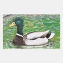 Suche nach niedliche enten aufkleber Grün
