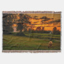 Suche nach scheunen decken Pferd