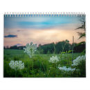 Suche nach schafe in der kalender Natur