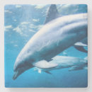 Suche nach delphin untersetzer Meer