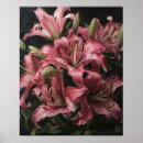 Suche nach rosa lippen poster Blume