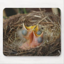 Suche nach baby mousepads Natur