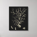 Suche nach hintergrund leinwandbilder Korallenriff