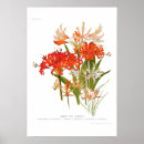 Suche nach nerves poster Vintag