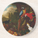 Suche nach macaws Hungrig