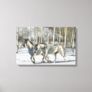 Suche nach appaloosa leinwandbilder Bob langrish