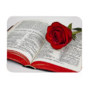 Suche nach vernetzung magnete Sozial