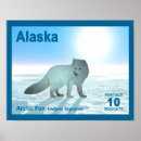 Suche nach arctic poster Tierwelt
