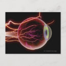 Suche nach arterien poster Horizontal