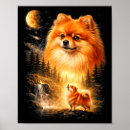 Suche nach zwergspitz poster Mond