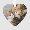 Suche nach kätzchen ornamente Für kinder