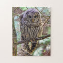 Suche nach owl puzzle Natur