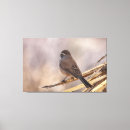 Suche nach spatz kunst Natur