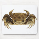 Suche nach vorderansicht mousepads Natur