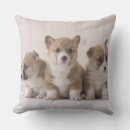 Suche nach corgi kissen Tiere