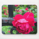 Suche nach regentropfen mousepads Fotografie