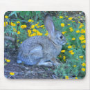 Suche nach kaninchen mousepads Blumen