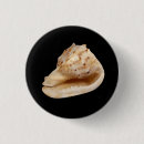 Suche nach muschel buttons Verzieren