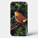 Suche nach rotkehlchen iphone hüllen Vogelvogel