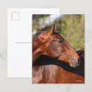 Suche nach bob langrish postkarten Bucht