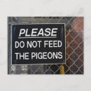 Suche nach taube postkarten Vogel