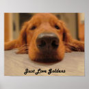 Suche nach nose poster Hund