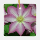 Suche nach weinrebe ornamente Lila